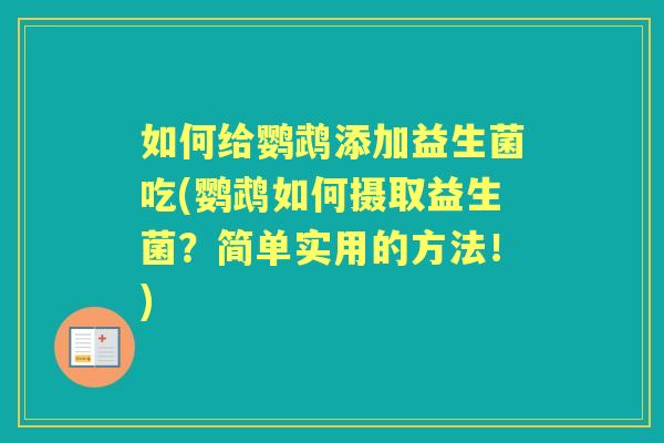 如何给鹦鹉添加益生菌吃(鹦鹉如何摄取益生菌？简单实用的方法！)