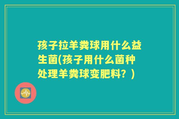 孩子拉羊粪球用什么益生菌(孩子用什么菌种处理羊粪球变肥料？)