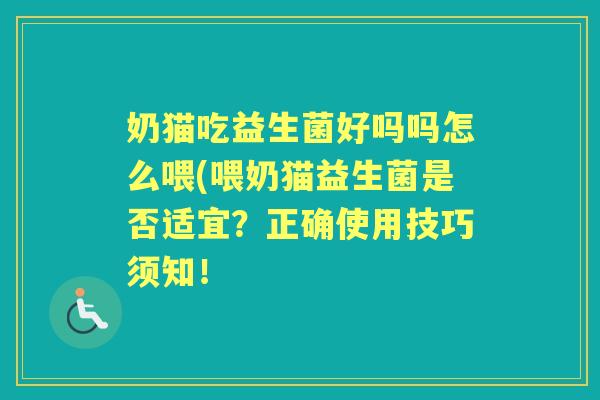 奶猫吃益生菌好吗吗怎么喂(喂奶猫益生菌是否适宜？正确使用技巧须知！