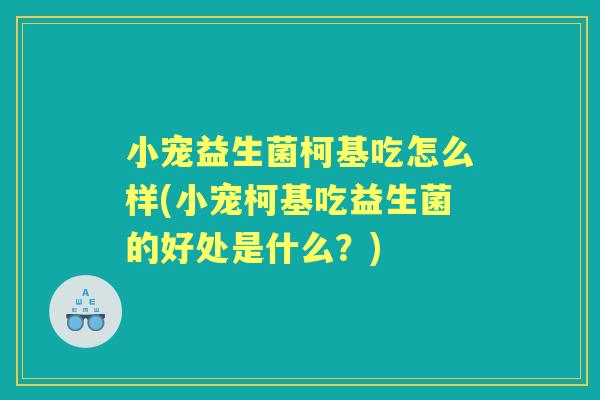 小宠益生菌柯基吃怎么样(小宠柯基吃益生菌的好处是什么?) 小宠益生菌柯基吃怎么样(小宠柯基吃益生菌的好处是什么?)