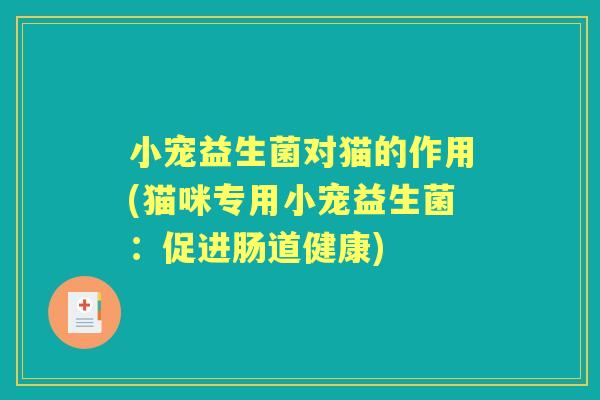 小宠益生菌对猫的作用(猫咪专用小宠益生菌:促进肠道健康) 小宠益生菌对猫的作用(猫咪专用小宠益生菌:促进肠道健康)