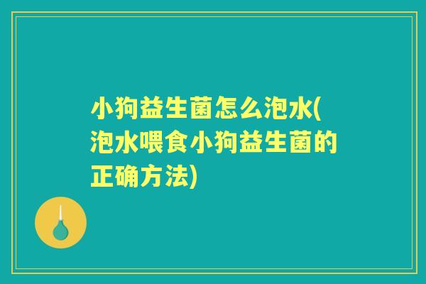 小狗益生菌怎么泡水(泡水喂食小狗益生菌的正确方法) 小狗益生菌怎么泡水(泡水喂食小狗益生菌的正确方法)