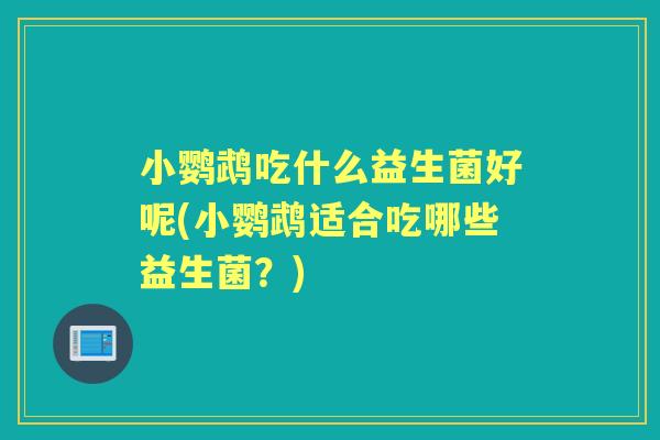 小鹦鹉吃什么益生菌好呢(小鹦鹉适合吃哪些益生菌?) 小鹦鹉吃什么益生菌好呢(小鹦鹉适合吃哪些益生菌?)