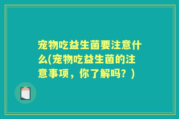 宠物吃益生菌要注意什么(宠物吃益生菌的注意事项，你了解吗？)