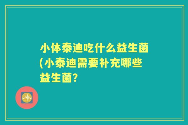 小体泰迪吃什么益生菌(小泰迪需要补充哪些益生菌? 小体泰迪吃什么益生菌(小泰迪需要补充哪些益生菌?