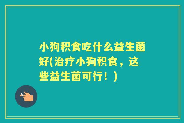 小狗积食吃什么益生菌好(小狗积食,这些益生菌可行!) 小狗积食吃什么益生菌好(小狗积食,这些益生菌可行!)