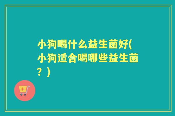小狗喝什么益生菌好(小狗适合喝哪些益生菌？)