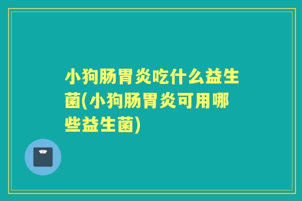 小狗肠吃什么益生菌(小狗肠可用哪些益生菌) 小狗肠吃什么益生菌(小狗肠可用哪些益生菌)