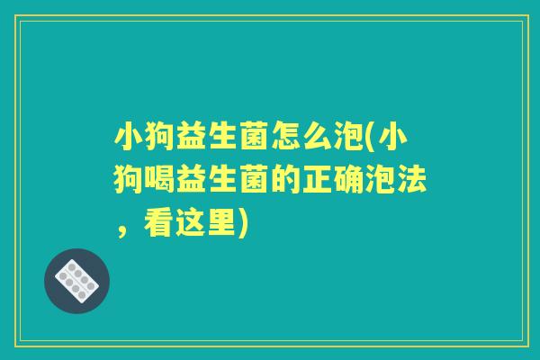 小狗益生菌怎么泡(小狗喝益生菌的正确泡法,看这里) 小狗益生菌怎么泡(小狗喝益生菌的正确泡法,看这里)