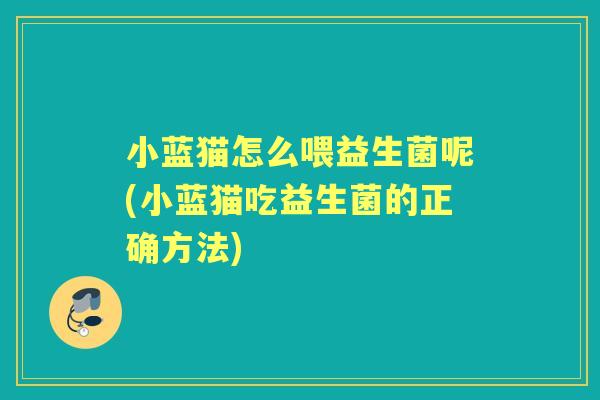小蓝猫怎么喂益生菌呢(小蓝猫吃益生菌的正确方法)