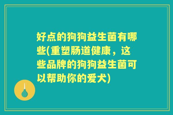 好点的狗狗益生菌有哪些(重塑肠道健康,这些品牌的狗狗益生菌可以帮助你的爱犬) 好点的狗狗益生菌有哪些(重塑肠道健康,这些品牌的狗狗益生菌可以帮助你的爱犬)