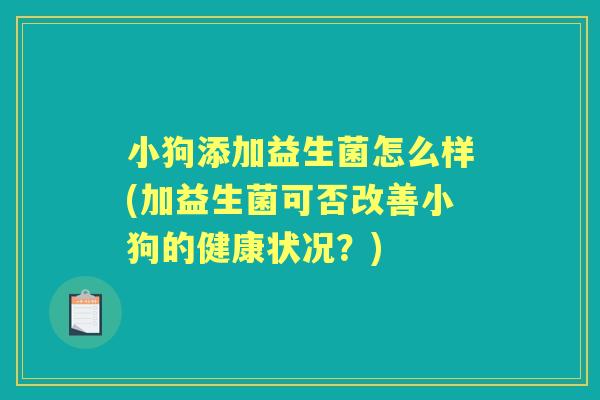 小狗添加益生菌怎么样(加益生菌可否改善小狗的健康状况？)