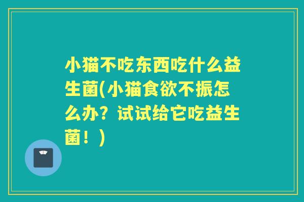 小猫不吃东西吃什么益生菌(小猫不振怎么办?试试给它吃益生菌!) 小猫不吃东西吃什么益生菌(小猫不振怎么办?试试给它吃益生菌!)