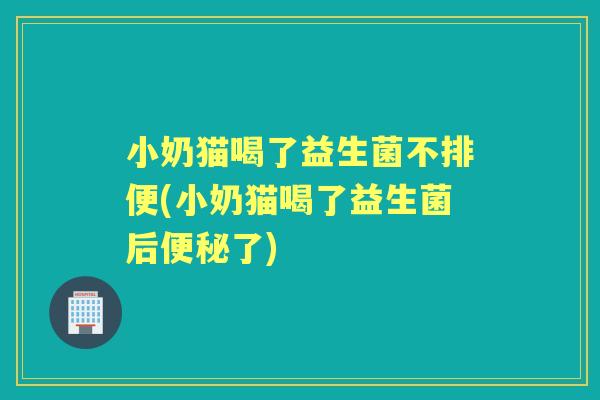 小奶猫喝了益生菌不排便(小奶猫喝了益生菌后了)