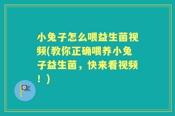 小兔子怎么喂益生菌视频(教你正确喂养小兔子益生菌,快来看视频!) 小兔子怎么喂益生菌视频(教你正确喂养小兔子益生菌,快来看视频!)