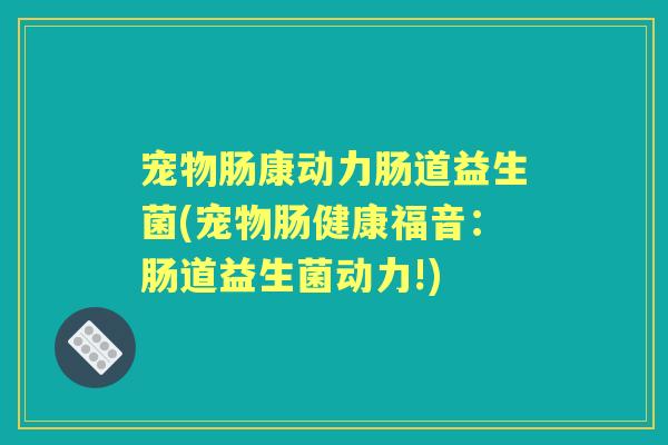 宠物肠康动力肠道益生菌(宠物肠健康福音：肠道益生菌动力!)