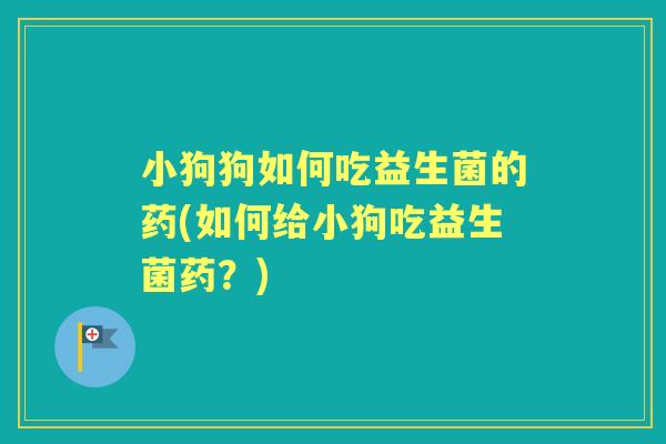 小狗狗如何吃益生菌的药(如何给小狗吃益生菌药?) 小狗狗如何吃益生菌的药(如何给小狗吃益生菌药?)