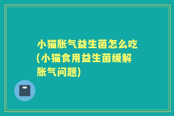 小猫益生菌怎么吃(小猫食用益生菌缓解问题)