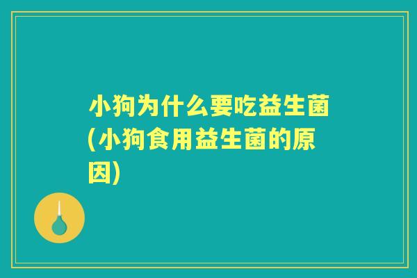 小狗为什么要吃益生菌(小狗食用益生菌的原因) 小狗为什么要吃益生菌(小狗食用益生菌的原因)