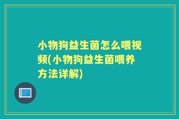 小物狗益生菌怎么喂视频(小物狗益生菌喂养方法详解)