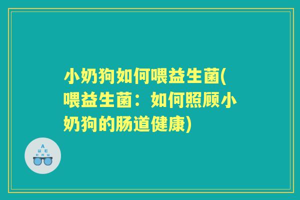 小奶狗如何喂益生菌(喂益生菌:如何照顾小奶狗的肠道健康) 小奶狗如何喂益生菌(喂益生菌:如何照顾小奶狗的肠道健康)