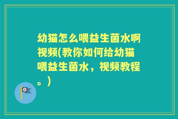 幼猫怎么喂益生菌水啊视频(教你如何给幼猫喂益生菌水，视频教程。)