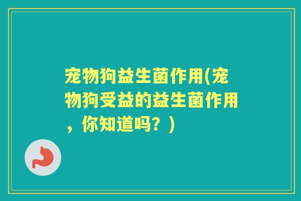 宠物狗益生菌作用(宠物狗受益的益生菌作用,你知道吗?) 宠物狗益生菌作用(宠物狗受益的益生菌作用,你知道吗?)