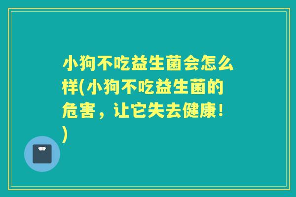 小狗不吃益生菌会怎么样(小狗不吃益生菌的危害，让它失去健康！)