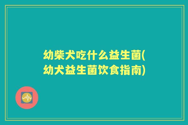 幼柴犬吃什么益生菌(幼犬益生菌饮食指南) 幼柴犬吃什么益生菌(幼犬益生菌饮食指南)