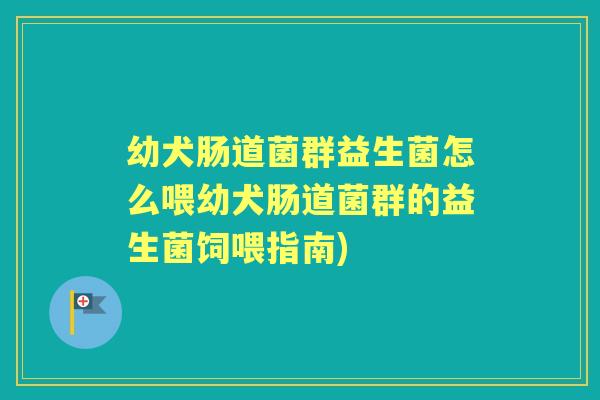幼犬肠道菌群益生菌怎么喂幼犬肠道菌群的益生菌饲喂指南) 幼犬肠道菌群益生菌怎么喂幼犬肠道菌群的益生菌饲喂指南)