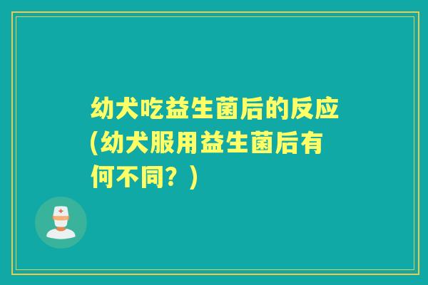 幼犬吃益生菌后的反应(幼犬服用益生菌后有何不同?) 幼犬吃益生菌后的反应(幼犬服用益生菌后有何不同?)