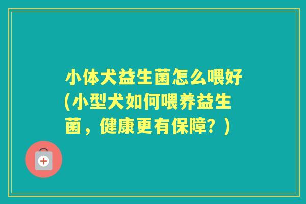 小体犬益生菌怎么喂好(小型犬如何喂养益生菌,健康更有保障?) 小体犬益生菌怎么喂好(小型犬如何喂养益生菌,健康更有保障?)