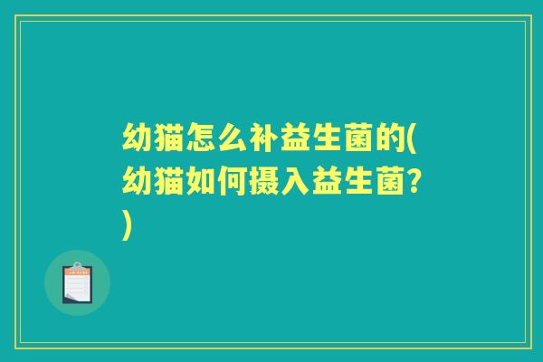 幼猫怎么补益生菌的(幼猫如何摄入益生菌?) 幼猫怎么补益生菌的(幼猫如何摄入益生菌?)