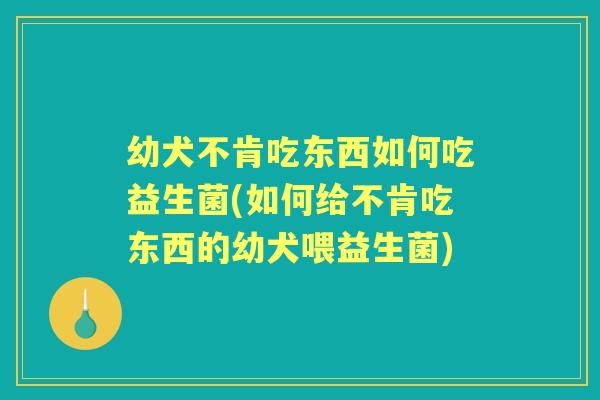 幼犬不肯吃东西如何吃益生菌(如何给不肯吃东西的幼犬喂益生菌) 幼犬不肯吃东西如何吃益生菌(如何给不肯吃东西的幼犬喂益生菌)