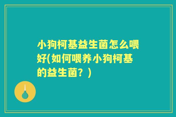 小狗柯基益生菌怎么喂好(如何喂养小狗柯基的益生菌？)