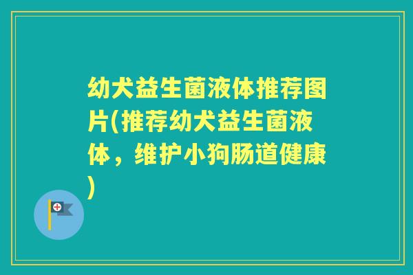 幼犬益生菌液体推荐图片(推荐幼犬益生菌液体，维护小狗肠道健康)