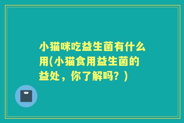小猫咪吃益生菌有什么用(小猫食用益生菌的益处，你了解吗？)