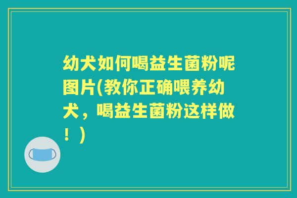 幼犬如何喝益生菌粉呢图片(教你正确喂养幼犬，喝益生菌粉这样做！)