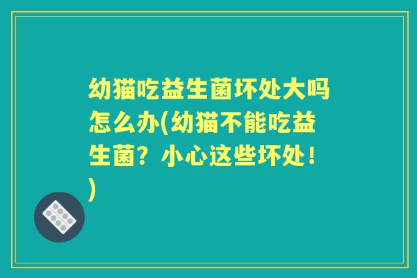 幼猫吃益生菌坏处大吗怎么办(幼猫不能吃益生菌?小心这些坏处!) 幼猫吃益生菌坏处大吗怎么办(幼猫不能吃益生菌?小心这些坏处!)
