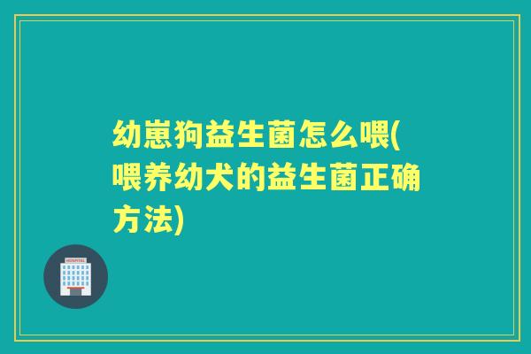 幼崽狗益生菌怎么喂(喂养幼犬的益生菌正确方法) 幼崽狗益生菌怎么喂(喂养幼犬的益生菌正确方法)