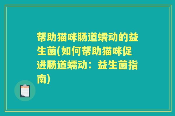 帮助猫咪肠道蠕动的益生菌(如何帮助猫咪促进肠道蠕动:益生菌指南) 帮助猫咪肠道蠕动的益生菌(如何帮助猫咪促进肠道蠕动:益生菌指南)