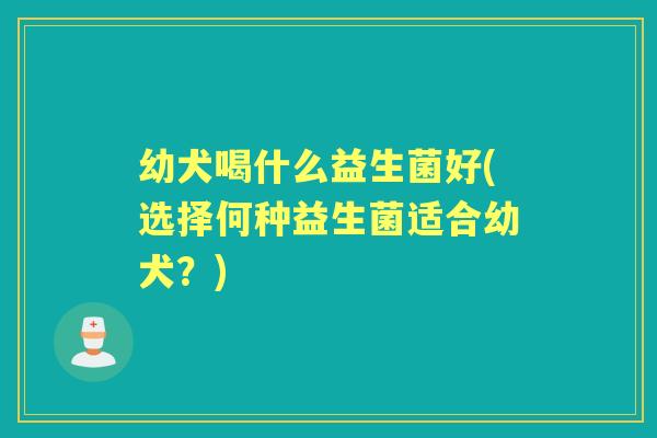 幼犬喝什么益生菌好(选择何种益生菌适合幼犬？)
