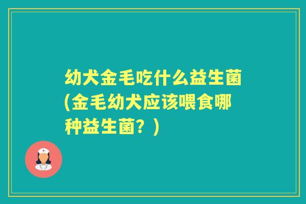 幼犬金毛吃什么益生菌(金毛幼犬应该喂食哪种益生菌？)