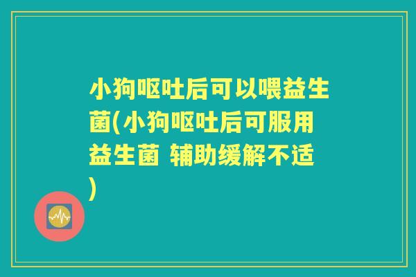 小狗后可以喂益生菌(小狗后可服用益生菌 辅助缓解不适) 小狗后可以喂益生菌(小狗后可服用益生菌 辅助缓解不适)