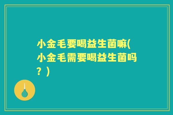 小金毛要喝益生菌嘛(小金毛需要喝益生菌吗?) 小金毛要喝益生菌嘛(小金毛需要喝益生菌吗?)