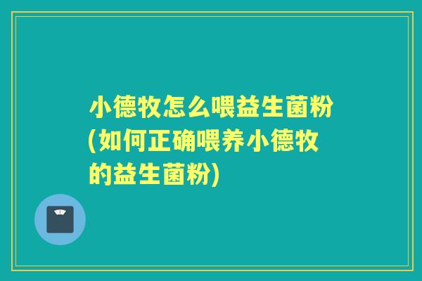 小德牧怎么喂益生菌粉(如何正确喂养小德牧的益生菌粉)