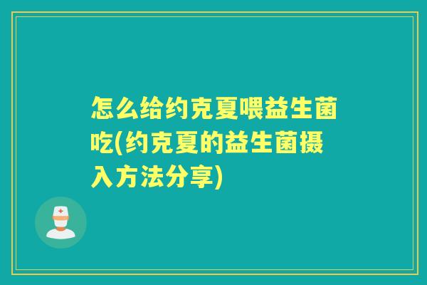 怎么给约克夏喂益生菌吃(约克夏的益生菌摄入方法分享) 怎么给约克夏喂益生菌吃(约克夏的益生菌摄入方法分享)