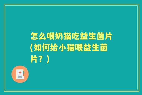 怎么喂奶猫吃益生菌片(如何给小猫喂益生菌片？)