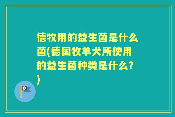 德牧用的益生菌是什么菌(德国牧羊犬所使用的益生菌种类是什么？)