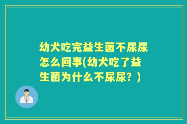 幼犬吃完益生菌不尿尿怎么回事(幼犬吃了益生菌为什么不尿尿?) 幼犬吃完益生菌不尿尿怎么回事(幼犬吃了益生菌为什么不尿尿?)